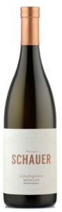 Weingut-Schauer-Morillon-Schiefergestein-1 Weingut-Schauer-Morillon-Schiefergestein-1
